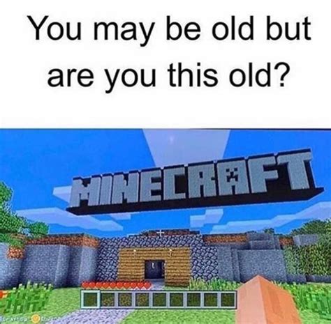 Ah, the nostalgia. : r/MinecraftMemes