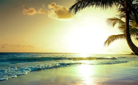 Tropical Beach Sunset 4k Wallpaper,HD Nature Wallpapers,4k Wallpapers ...