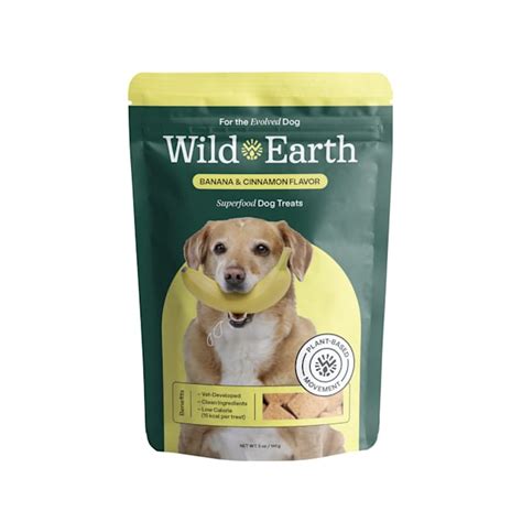 WILD EARTH Banana and Cinnamon Superfood Dog Treats, 5 oz. | Petco