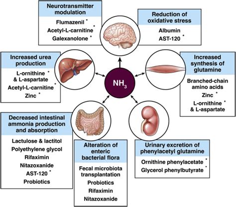 Hepatic Encephalopathy: Current and Emerging Treatment Modalities ...