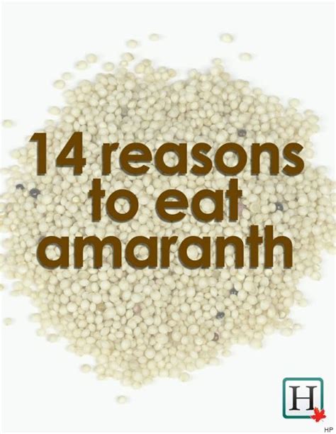 Benefits Of Amaranth: 14 Reasons To Get Into This Grain