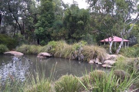 Explore Tamworth Regional Botanic Gardens, Tamworth, NSW