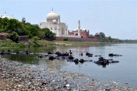 India: Kite fliers' message to Modi, Yogi: Save Yamuna, save Agra