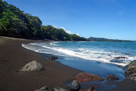 Black sand volcanic beach stock photo. Image of coast - 73985340