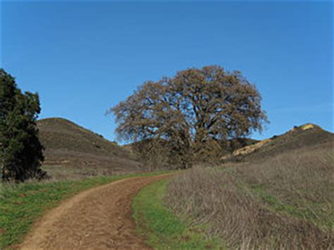 Volunteers – Conejo Walks