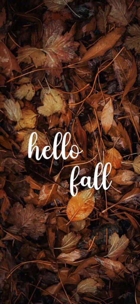 Download Hello Fall Leaves Background Wallpaper | Wallpapers.com