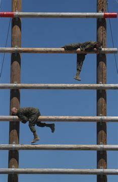 log obstacles - Google Search | Marines boot camp, Us marine corps ...