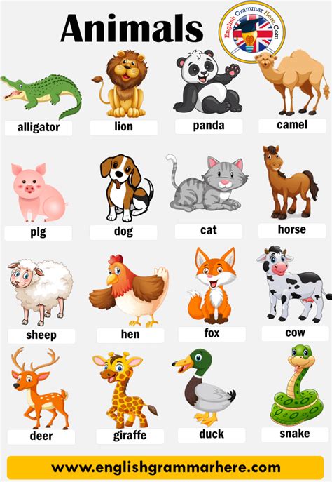 Таблица types of animals