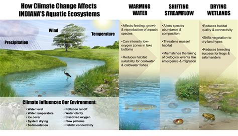 Aquatic Ecosystems in a Shifting Indiana Climate: A Report from the ...