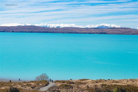 Day 11: Dunedin to Lake Pukaki & Tekapo | Planet Unfold