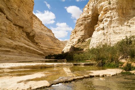 Negev Desert | Tourist Israel