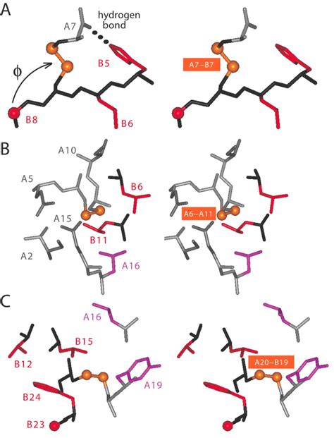 Insulin Biosynthesis, Secretion, Structure, and Structure-Activity ...