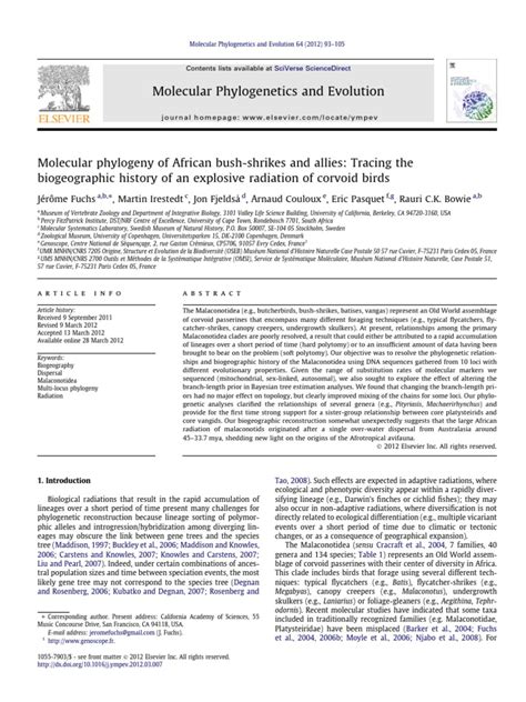 Molecular | PDF