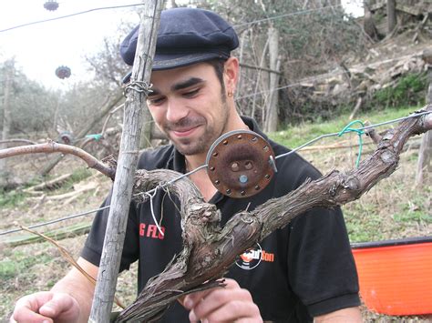 Traveling between WWOOF Italia farms without using cars - Rome Central Mag