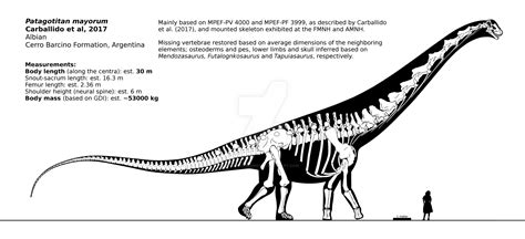 patagotitan-mayorum-skeletal-reconstruction-by-randomdinos-dclrjgp ...