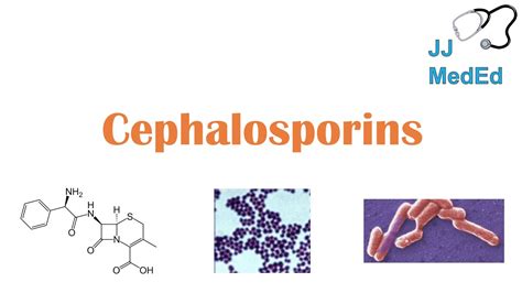 Cephalosporin Antibiotics: 1st to 5th Generation, Mechanism, Side ...