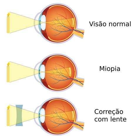 Geografia De Olho No Mundo Do Trabalho - Sobre os Olhos