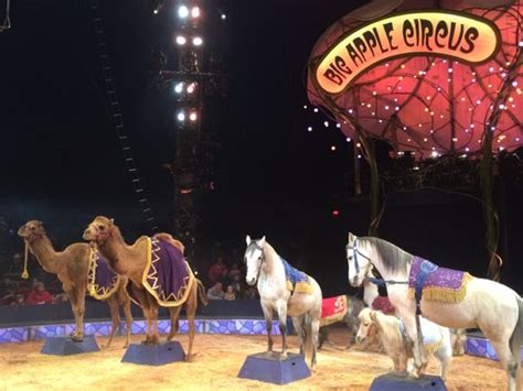 Amazing, Breathtaking, Inspiring: Big Apple Circus Presents ...