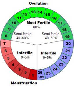 Contraception Archives - The Fact Factor