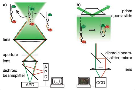 Outline of single-molecule FRET microscopy systems. (a) Confocal ...