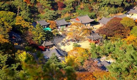 Ganghwa Island One Day History Tour from Seoul - Trazy, Korea's #1 ...