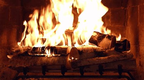 Fire Fireplace GIF by NETFLIX - Find & Share on GIPHY