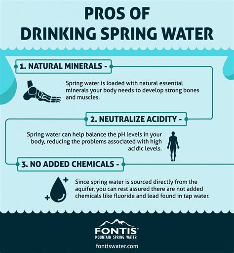 The Pros of Drinking Spring Water - Ena Renner