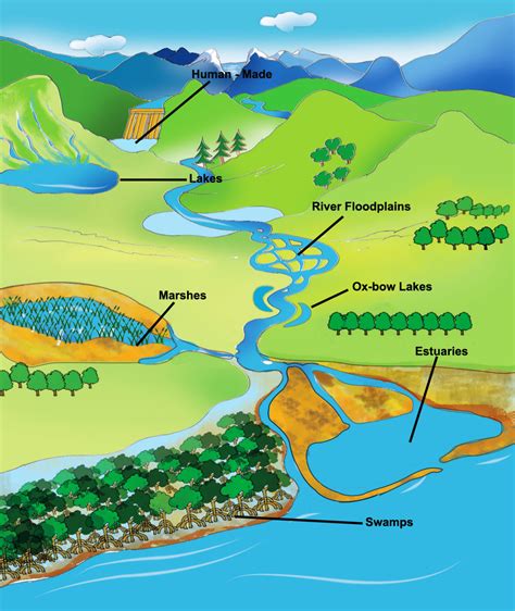 Wetlands of India Portal