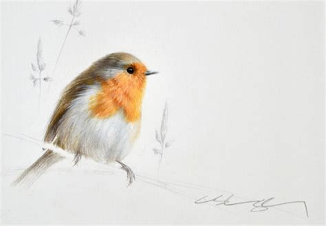 Robin Paintings For Sale | Carnes Fine Art