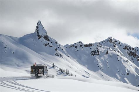 Chatter Creek Cat-Skiing | Real Mountain Experience in Golden, BC