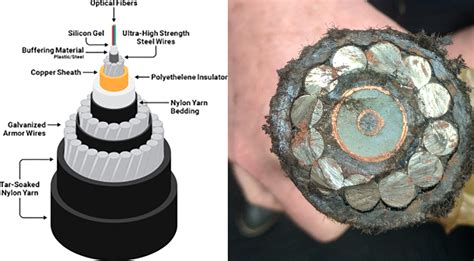 Submarine Cable Resiliency in the Face of Disruptions