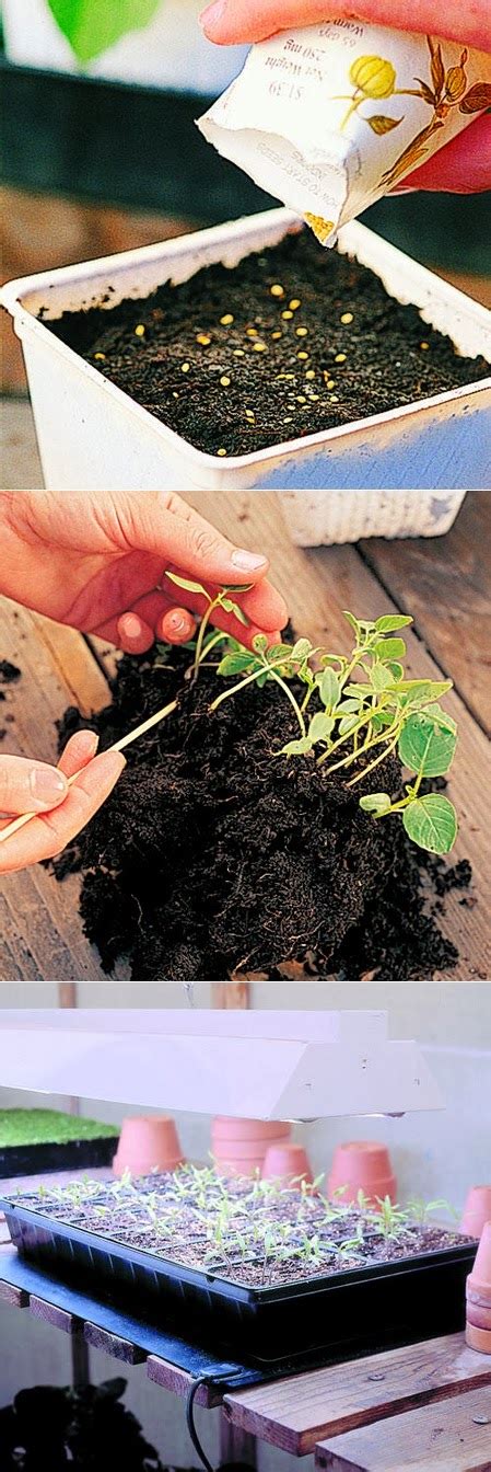 Starting Seeds Indoors #Gardening - 101 Gardening