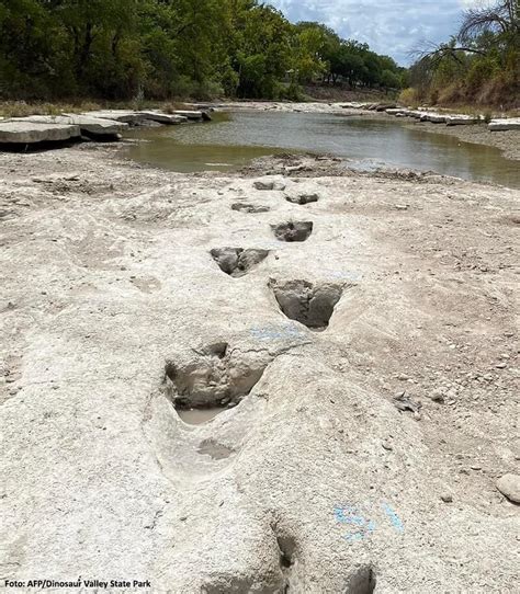 Sungai Mengering, Orang Ini Temukan Jejak Kaki Dinosaurus