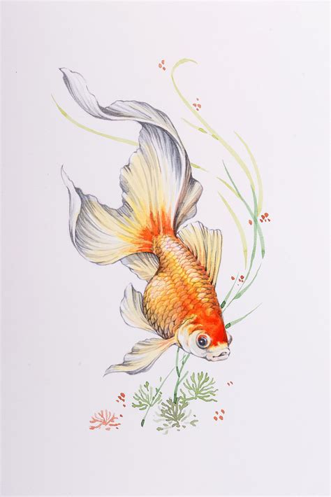 Original hand-painted koi fish painting, realistic pond colored fish ...