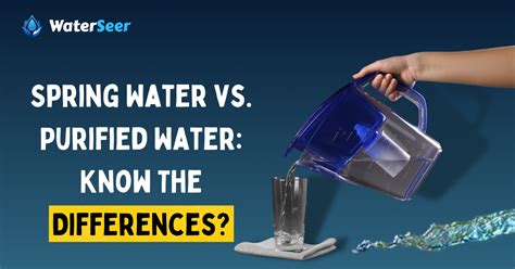 Spring Water vs. Purified Water: Know The Differences? - WaterSeer.org