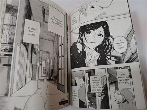 She and Her Cat Manga (Makoto Shinkai), Hobbies & Toys, Books ...