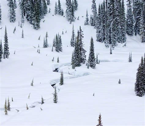 Winter @ Paradise, Mt Rainier - Buddy Hawkins