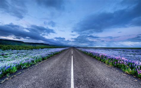 Flower Road Wallpapers - Top Free Flower Road Backgrounds - WallpaperAccess