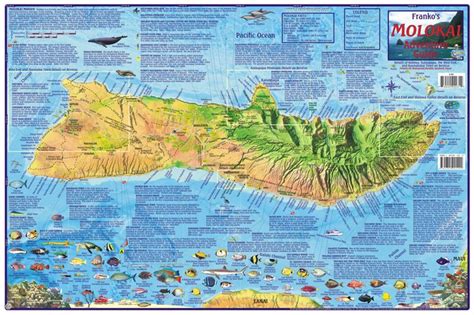 Molokai Guide Map | Franko's Fabulous Maps of Favorite Places ...