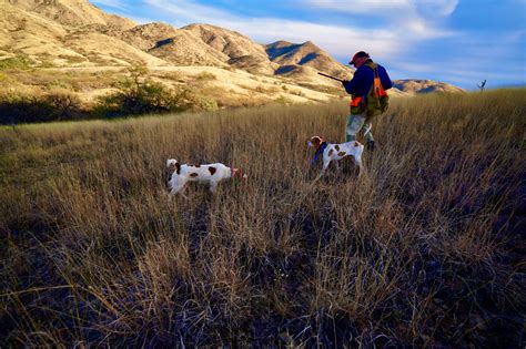 Mearns Quail Habitat Restoration - Southern Arizona Quail Forever