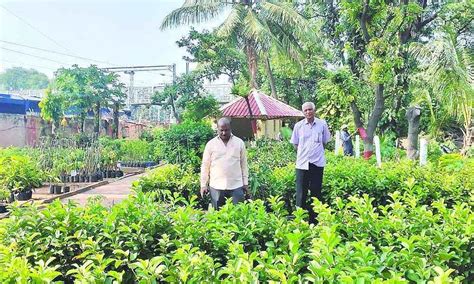 Hyderabad: Agri-Horticultural Society to usher in green revolution