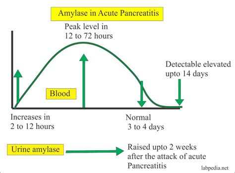 Amylase level (Serum) – Labpedia.net