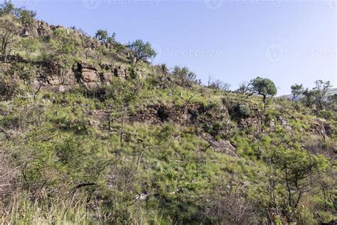 Landscape in the Highveld, South Africa 11249647 Stock Photo at Vecteezy