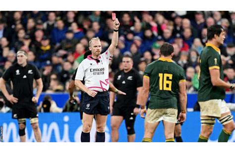 Rugby World Cup final referee Wayne Barnes announces retirement ...