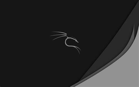 [100+] Kali Linux Wallpapers | Wallpapers.com