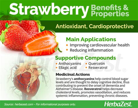 Strawberry Health Benefits & Properties | Health facts food, Strawberry ...