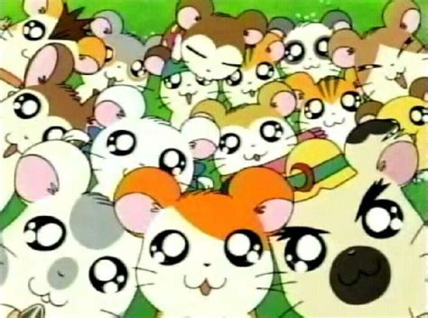 Love this show! | Hamtaro, Anime, Cool cartoons