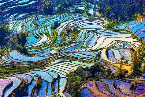 The Awe-Inspiring Beauty of Rice Terraces - WorldAtlas