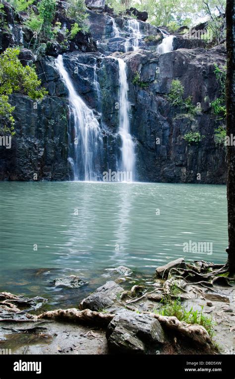 Cedar Creek Falls,australia Stock Photo - Alamy