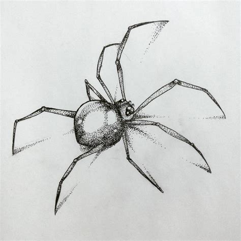 Realistic Spider Drawing